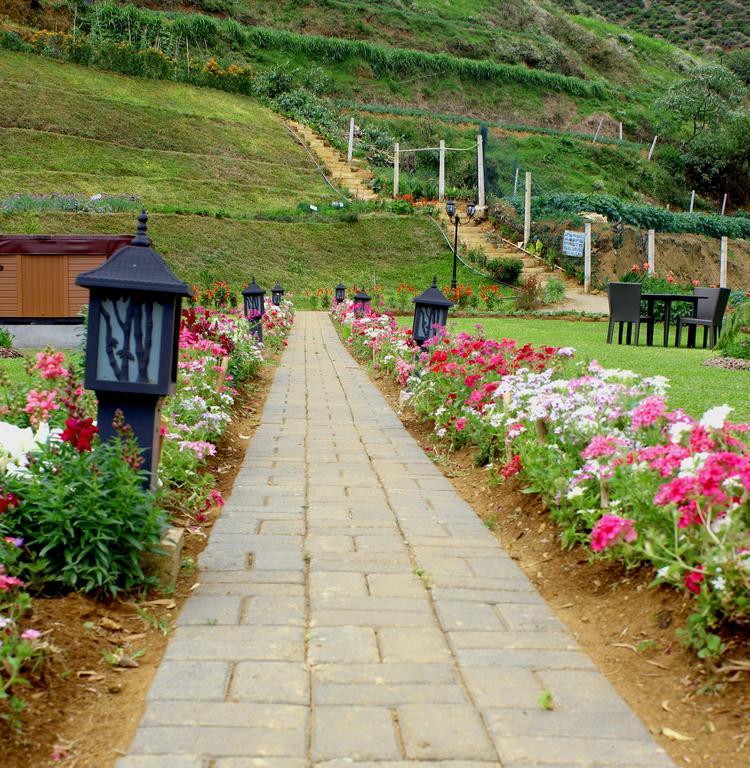 Serene Villa Nuwara Eliya Exterior foto